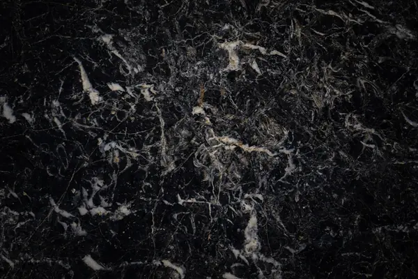 Textura de granito preto com veios brancos